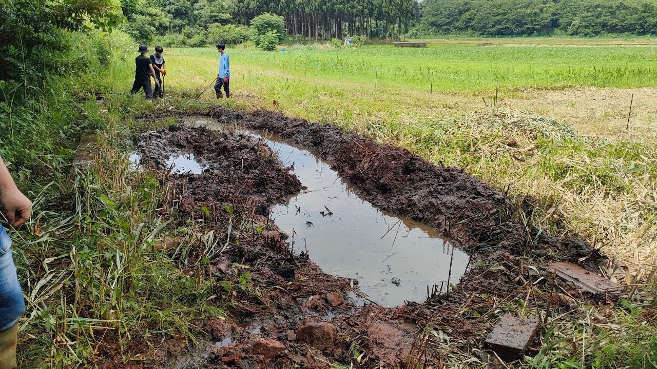 牧草地の端にビオトープを掘ろう！