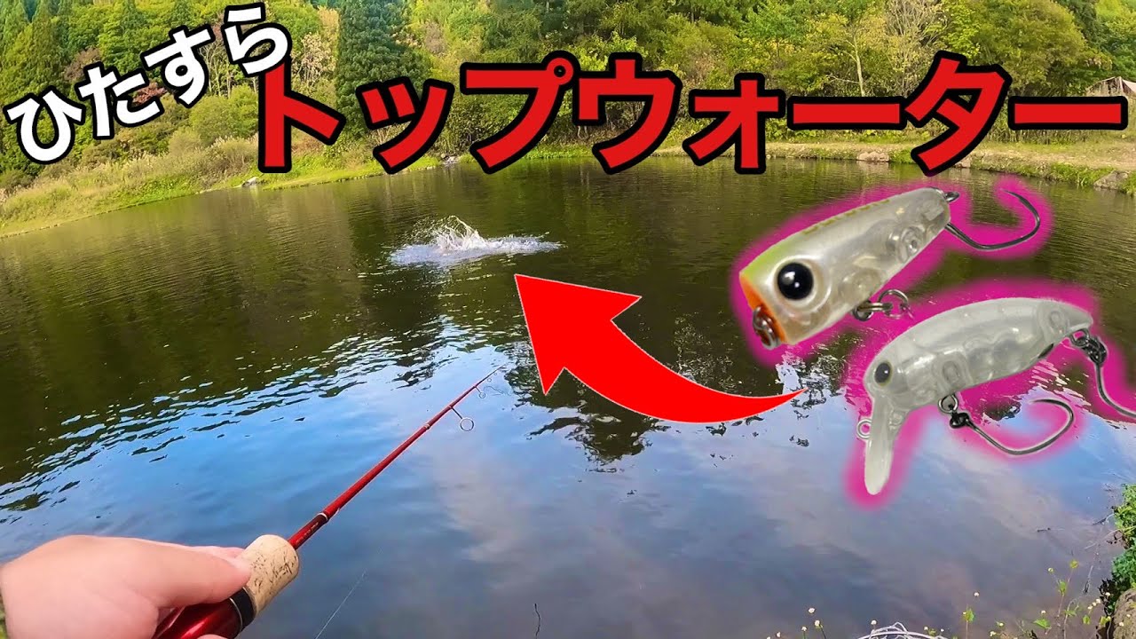 管釣りでのトップウォータールアーの使い方！【ティモン　デカミッツドライ　エリアトラウト　管理釣り場】