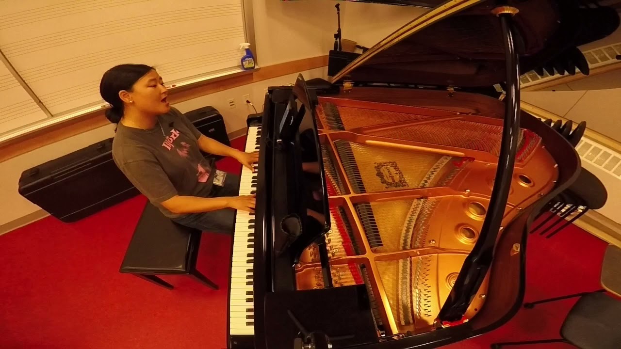 Naran - Nutgaa sanahui | Oyuk tuning (piano cover)