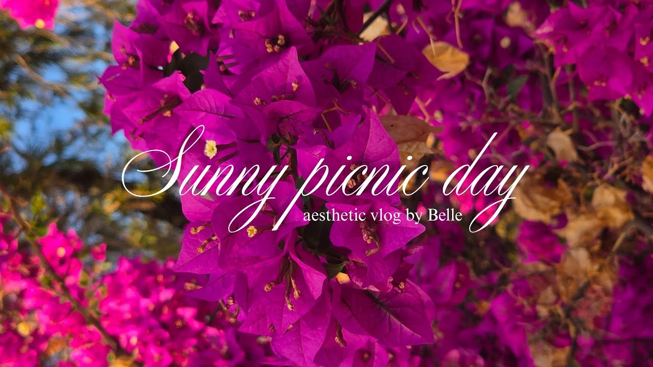Sunny picnic day in Brasília | Vlog (eng/pt)
