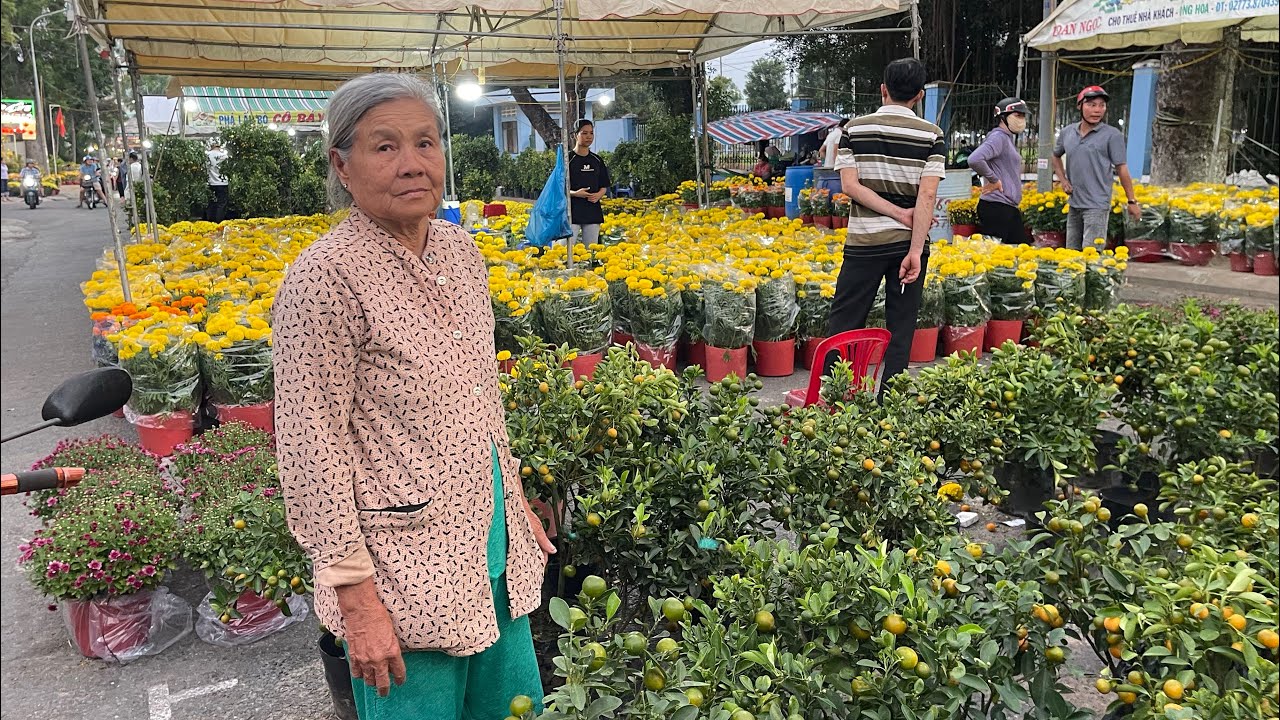 Xôn Xao chợ Hoa Cao Lãnh Bà Cụ Bán hơn 100 Chậu hạnh không ai Lỗ tiền về quê ăn Tết