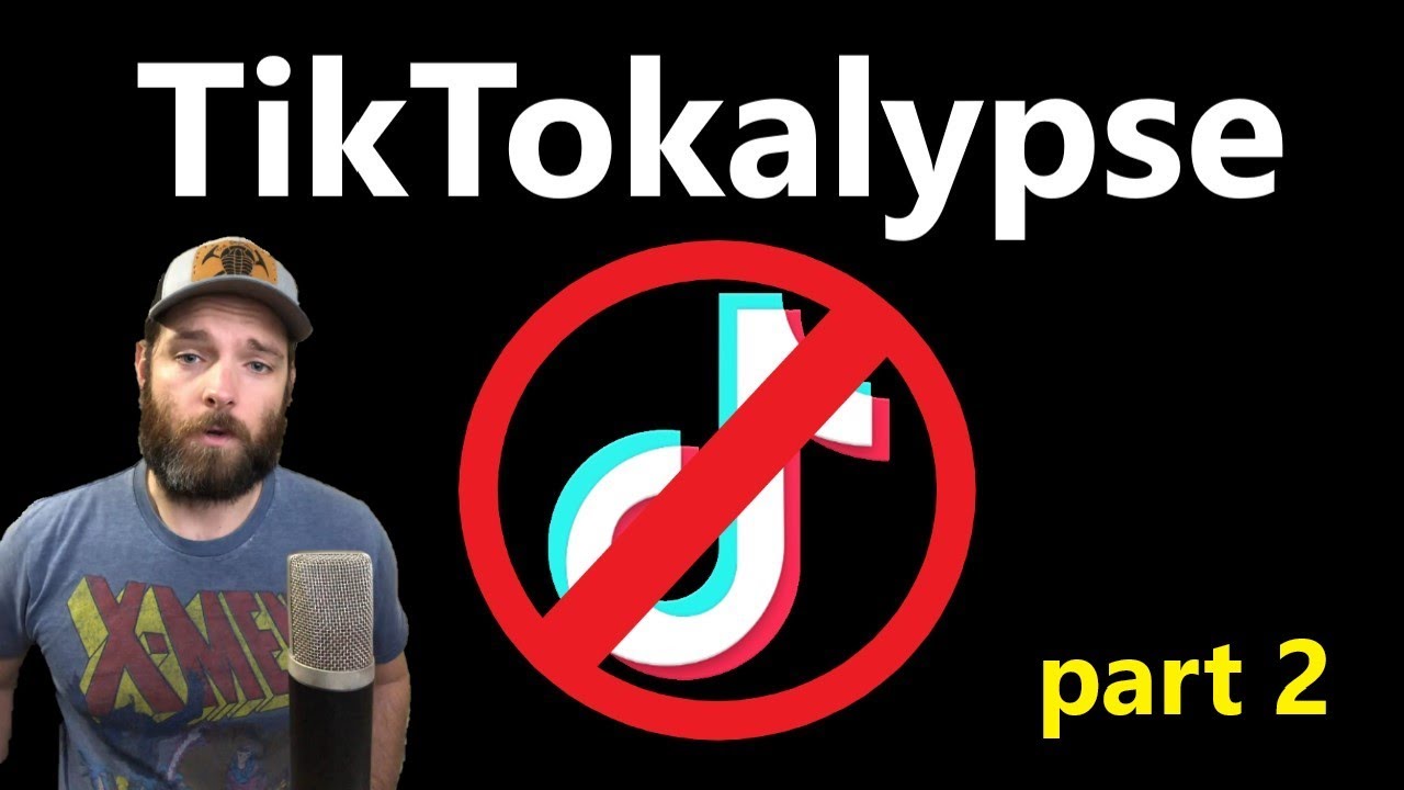 TikTok Ban - What Is ByteDance's Motivation?