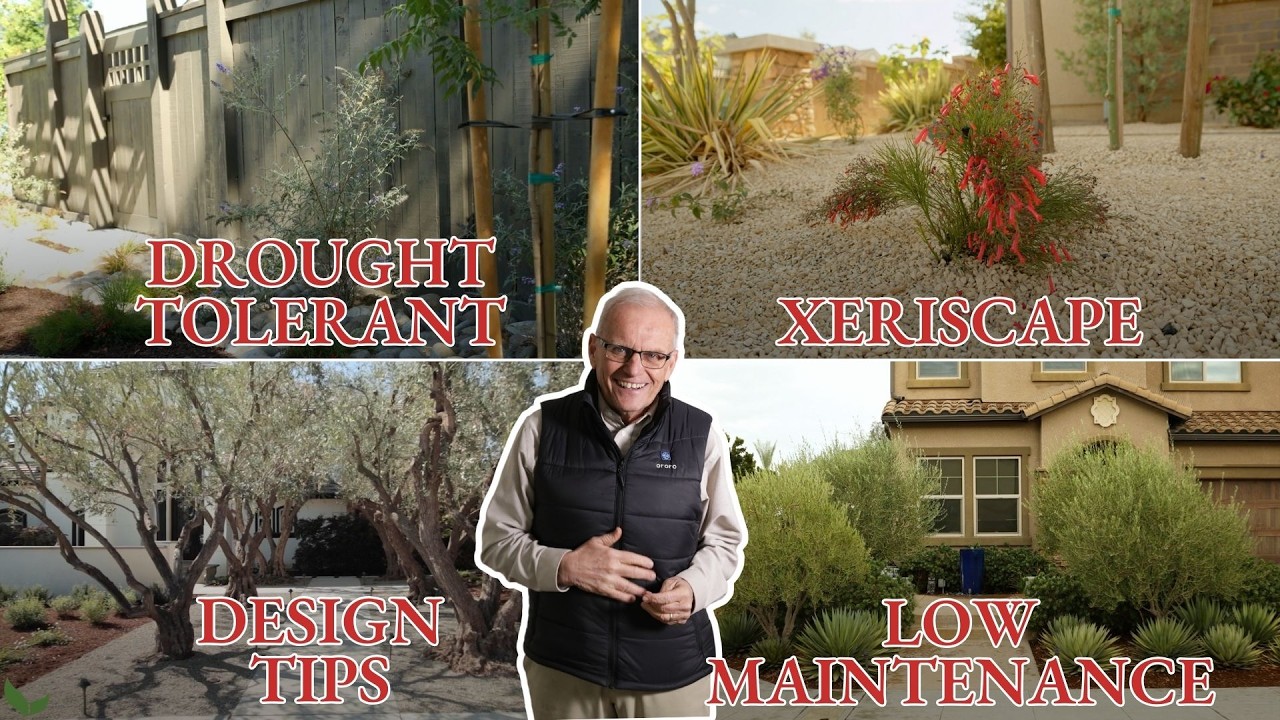 Our Favorite Xeriscape & Low Maintenance Landscape Design Tips (Compilation Video)