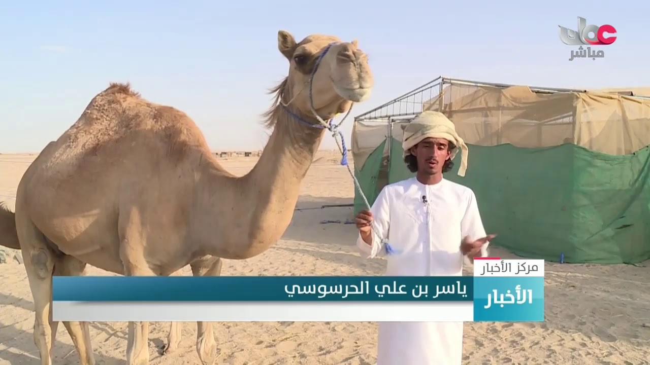 سكان محافظة الوسطى يتوارثون مهنة تربية الماشية