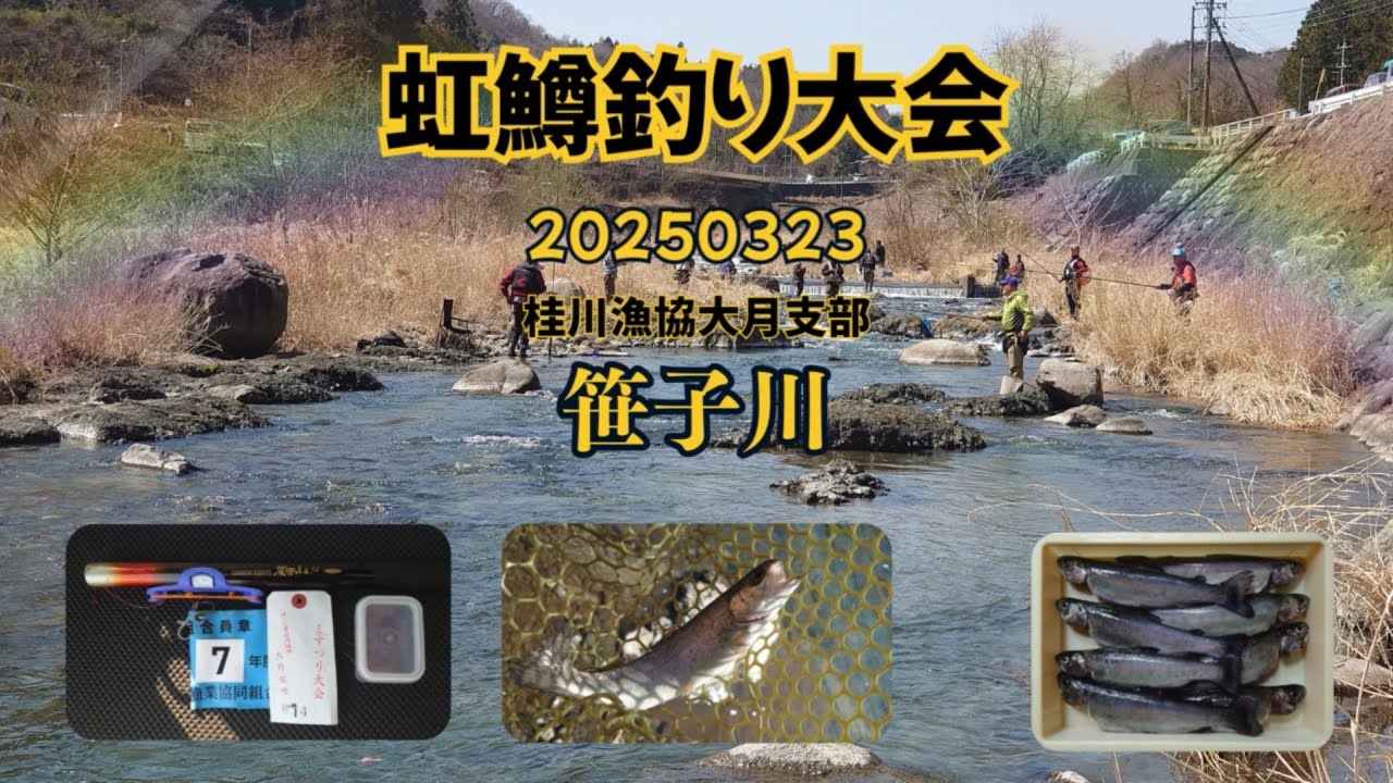 【虹鱒釣り大会】20250323 山梨県桂川支流 笹子川（桂川漁協大月支部）＃釣り ＃エサ釣り ＃鱒釣り大会 ＃japan_fishing
