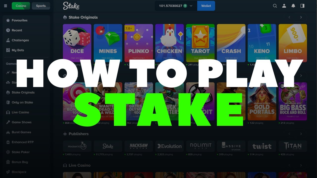 How to Play Stake Casino | Full Guide & Best Profit Games