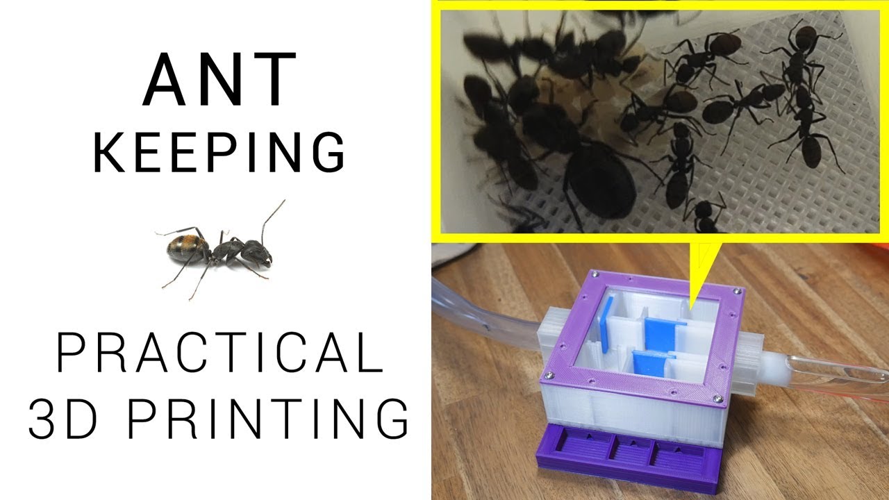 Practical 3D printing - Ant Keeping