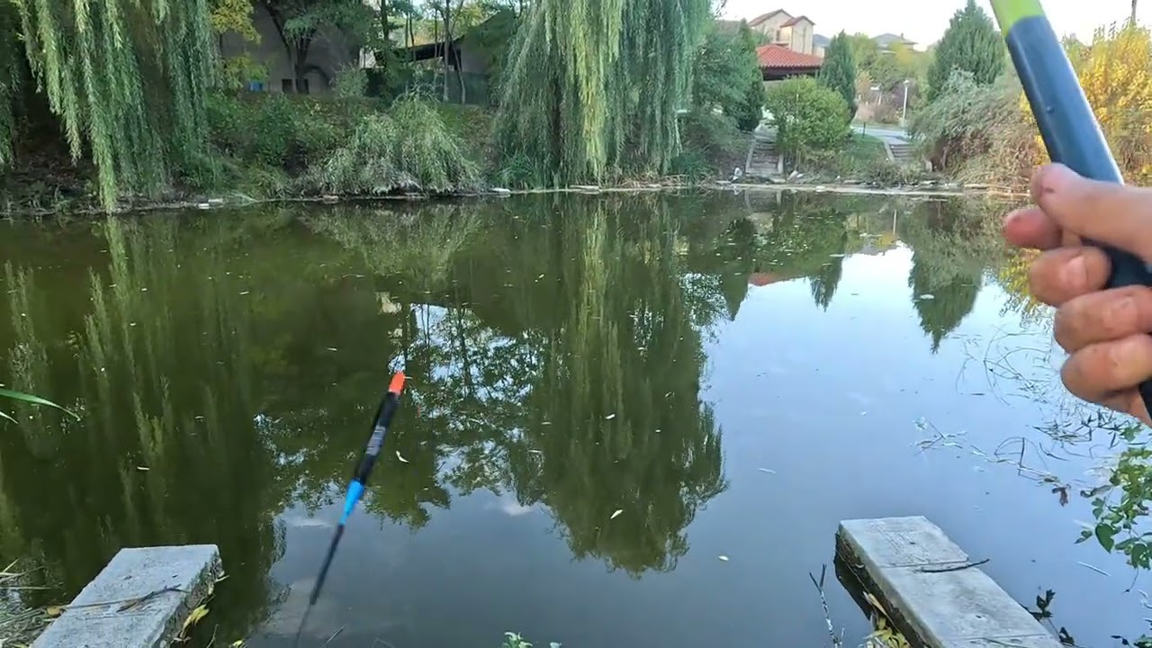 Pescuit la caras pe sălbatic 