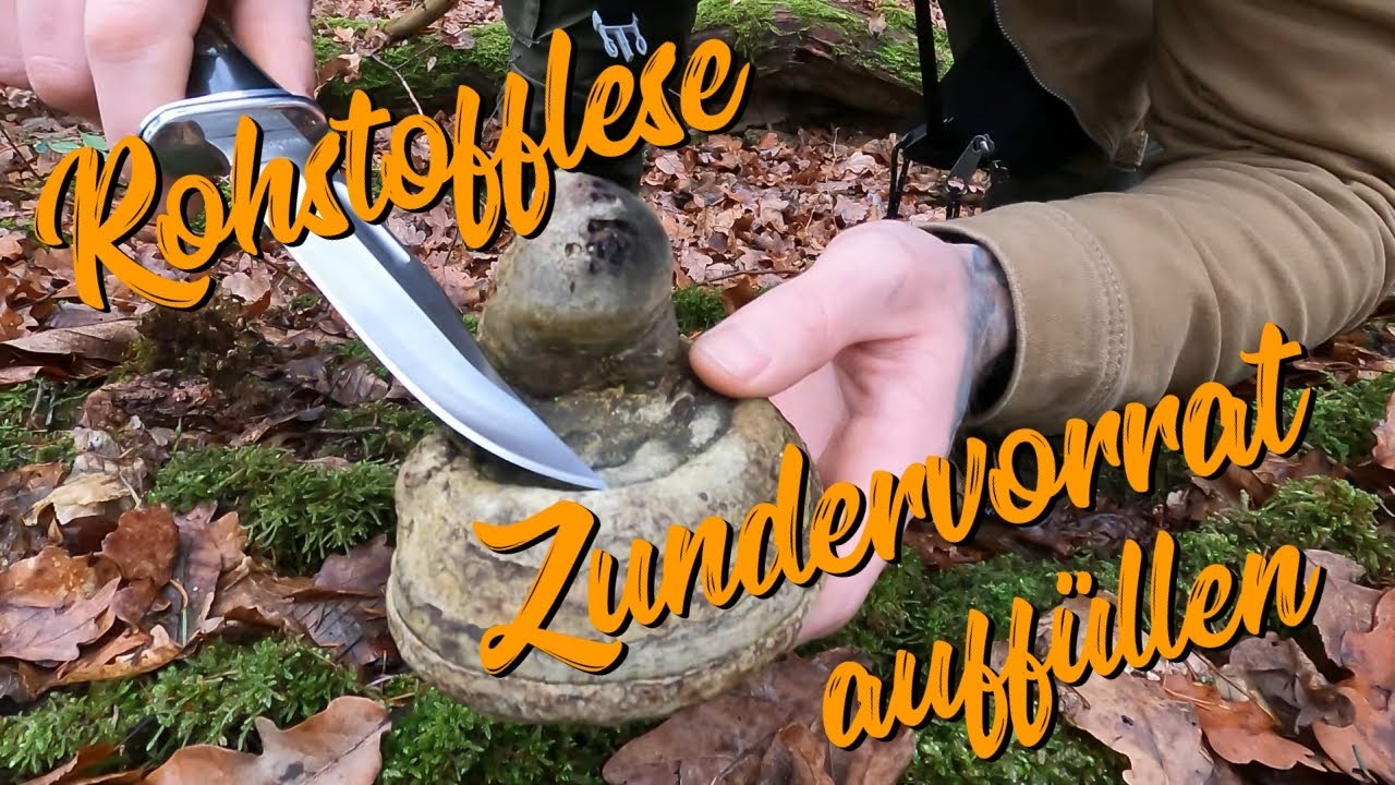 Rohstofflese | Zundervorrat auffüllen | Birkenrinde | Harz | Zunderschwamm Pilz | SEBBO