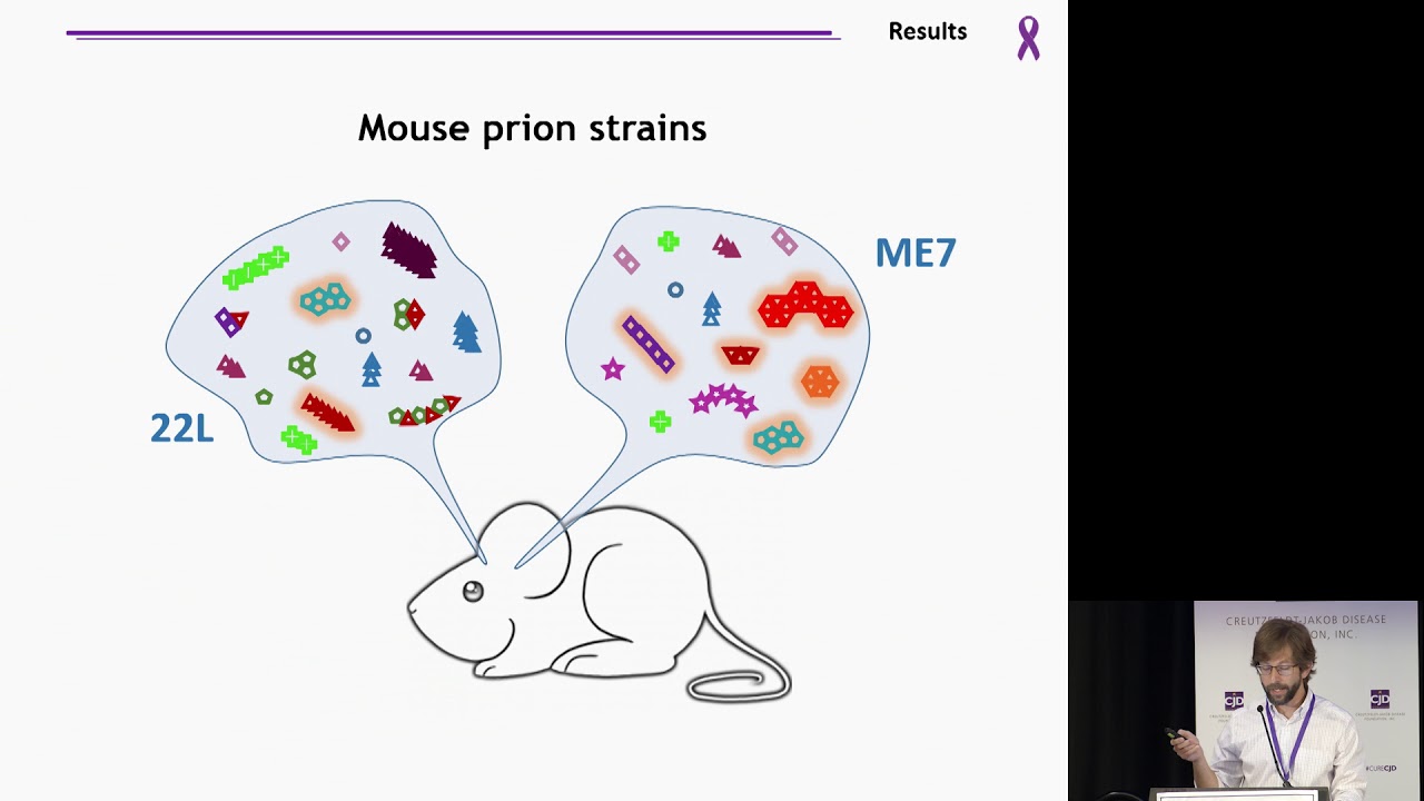 Leonardo Cortez, PhD - Strain-Specific Characterization of Pathogenic CJD Prion Particles