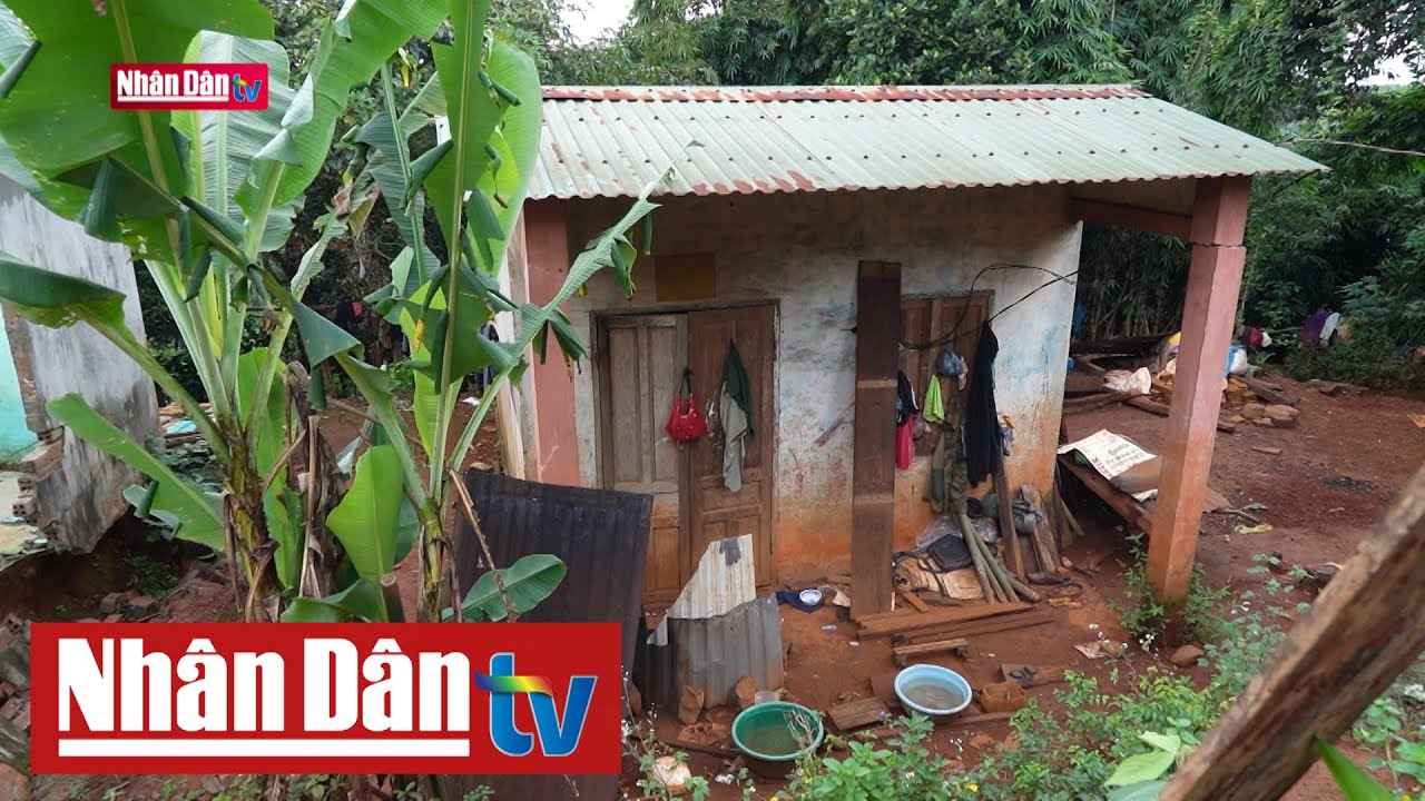 Ổn định cuộc sống tại nơi tái định cư cho người dân vùng thiên tai | Khát vọng Tây Nguyên
