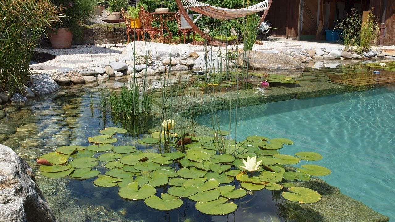 Schwimmteich für Ihren Garten | POOL FOR NATURE