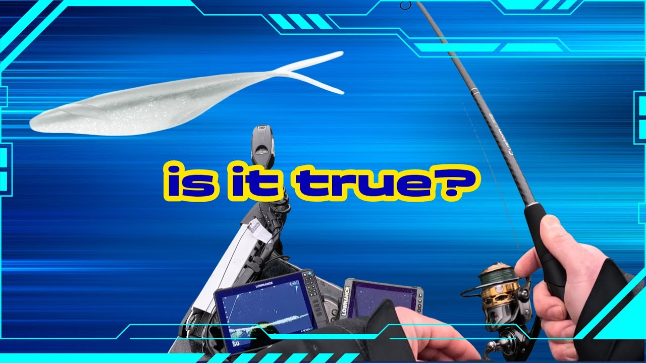 The truth about the Sakamata Shad
