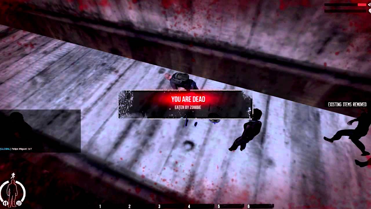WarZ sucks.