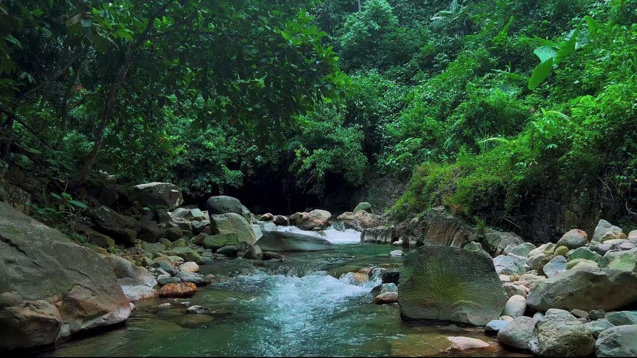 4K-HDR | Deep Sleep River Sounds All Night | Natural Water Flow Ambience for Calm and Healing