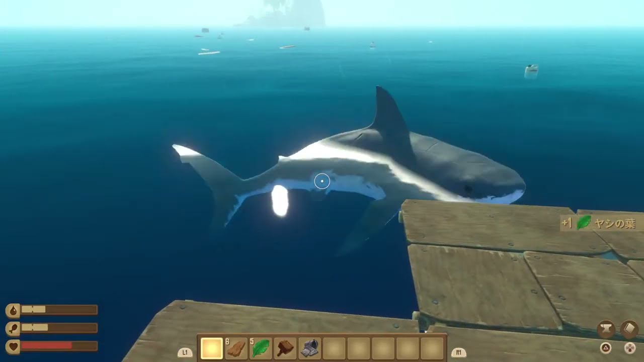 (RAFT )　鮫のエサ(予約済み)AとBでいくイカダ旅