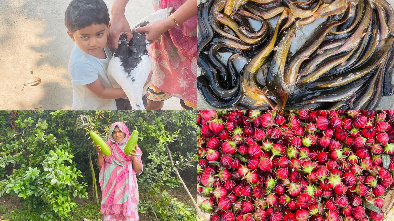 পরিবারের কাছের মানুষদের সাথে কাটানো সময় গুলো স্মৃতি হয়ে থাকবে, আইদাহ তো বাড়িতে আসলে আর যেতে চাই না।