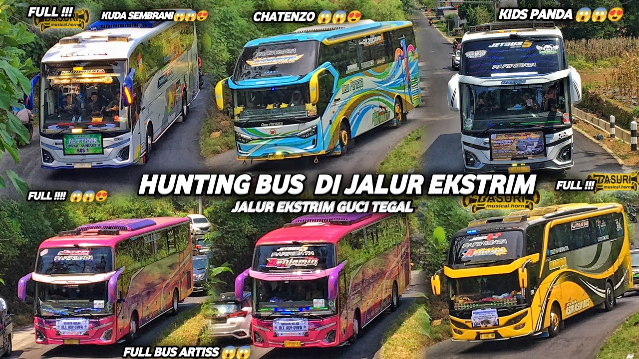FULL TELOLET BASURI !! HUNTING BUS DI JALUR EKSTRIM GUCI TEGAL | FULL BUS ARTIS