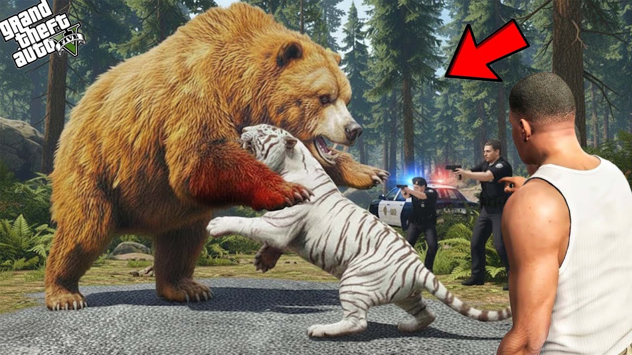 Franklin Bengal Tiger Fight Wild Bear Attack in Los Santos | Gta 5
