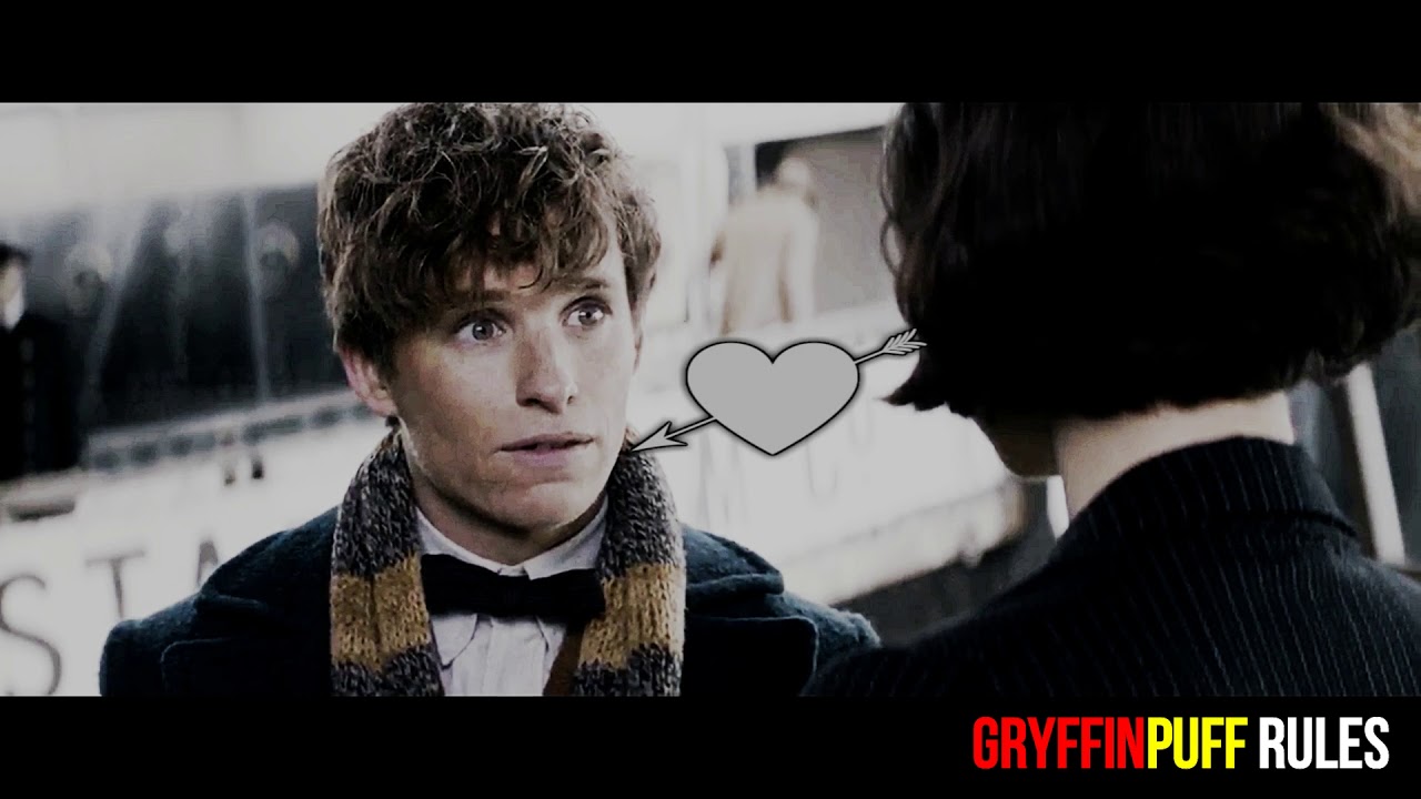 Newt & Tina || Fantastic Beasts || You Are The Reason