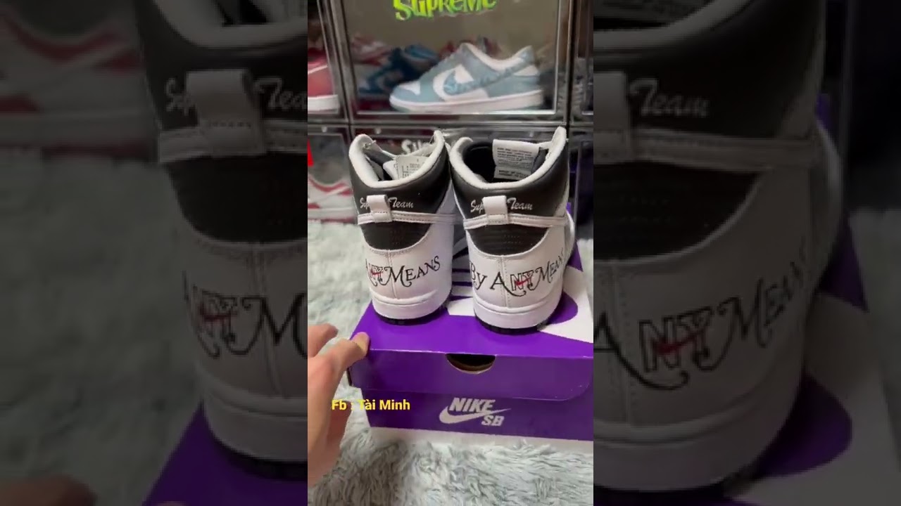 Supreme × Nike SB Dunk High By Any Means "White Black" 