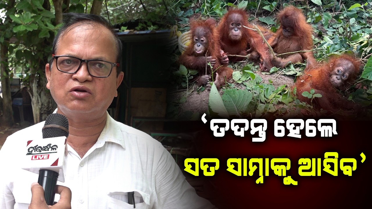 'ତଦନ୍ତ ହେଲେ ସତ ସାମ୍ନାକୁ ଆସିବ'
