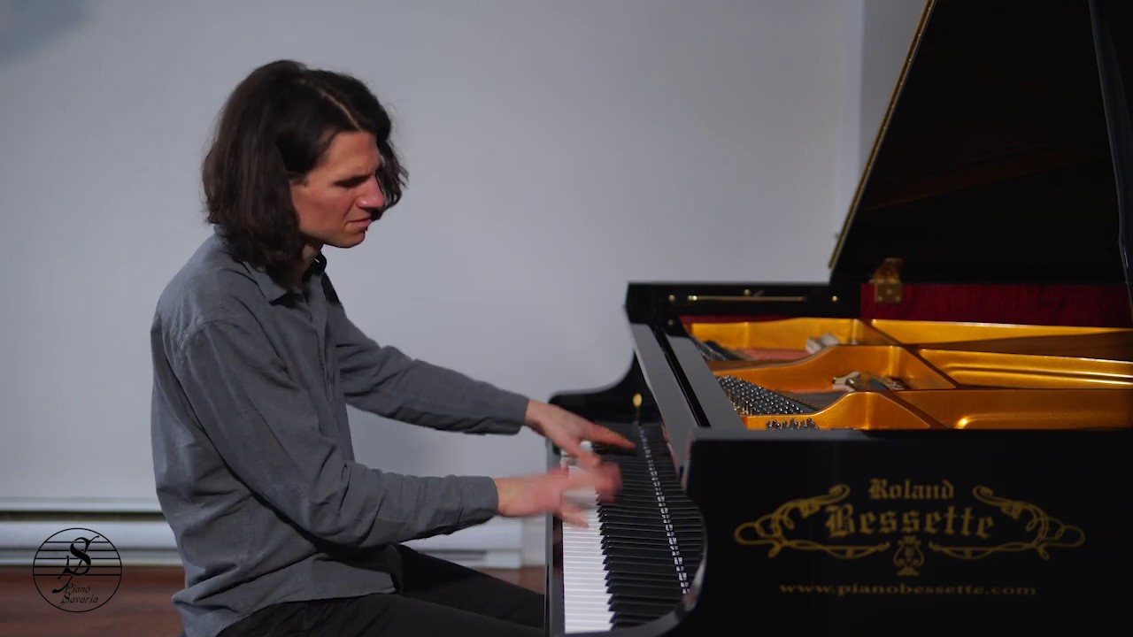 The Beatles -  I Am The Walrus (Cover de Guillaume Martineau)