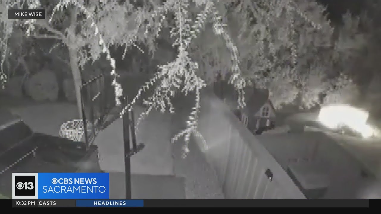 Mulch spontaneously combusts in El Dorado Hills backyard amid high heat