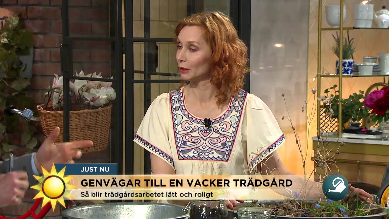 Få en vacker trädgård med enkla knep - Nyhetsmorgon (TV4)
