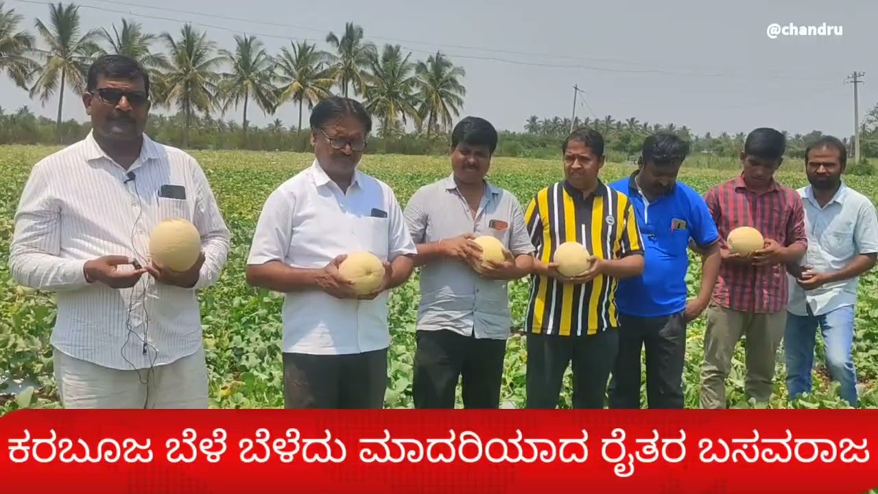ಕರಬೂಜ ಬೆಳೆ ಬೆಳೆದು ಮಾದರಿಯಾದ ಯುವರೈತ ಬಸವರಾಜ ಪುಂಡಿಕಟಗಿ