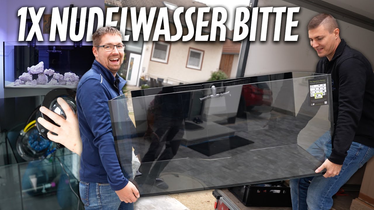 Der Nudelwasser-Kanal filmt für euch wieder außerhalb! - PlanktonPlus Aquaristik