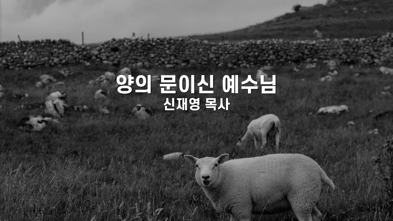 2026년 3월 15일 || 주일오전예배설교 || 요한복음 10장 1-10절