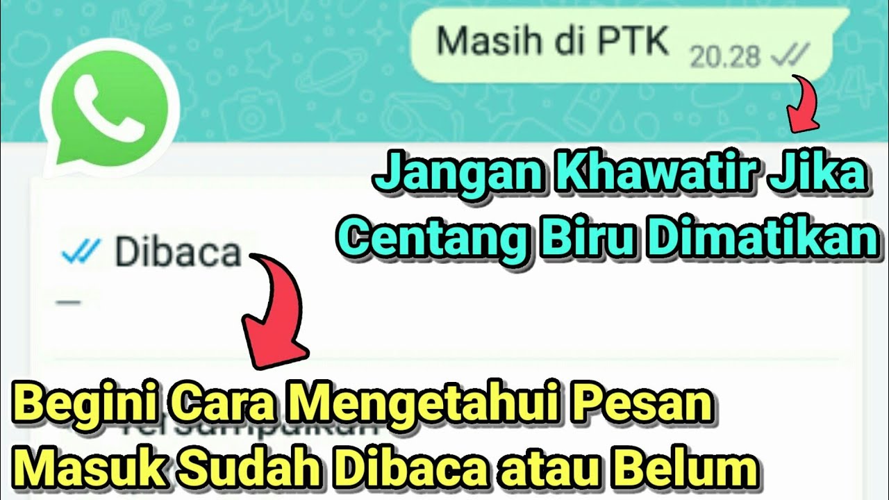 Centang Biru Dimatikan? ~ Begini Cara Mengetahui Pesan Wa Sudah Terbaca Atau Belum?