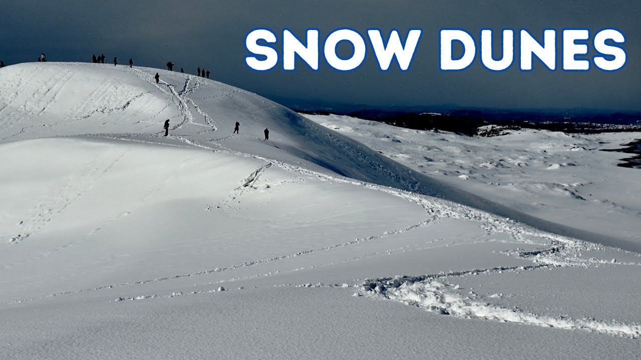 雪の鳥取砂丘 Tottori Sand Dunes in the snow
