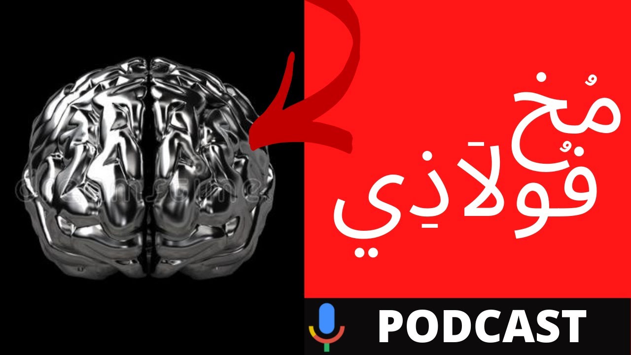 الذئبوية: ركنان لا ثالث لهما للقوة الذهنية (الأخ نجيب)