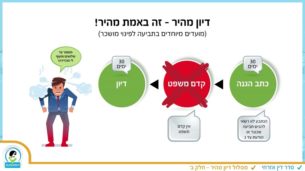 סדר דין אזרחי - דיון מהיר
