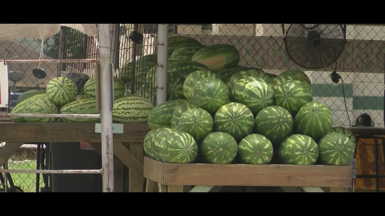 City of Luling getting ready to host annual Watermelon Thump