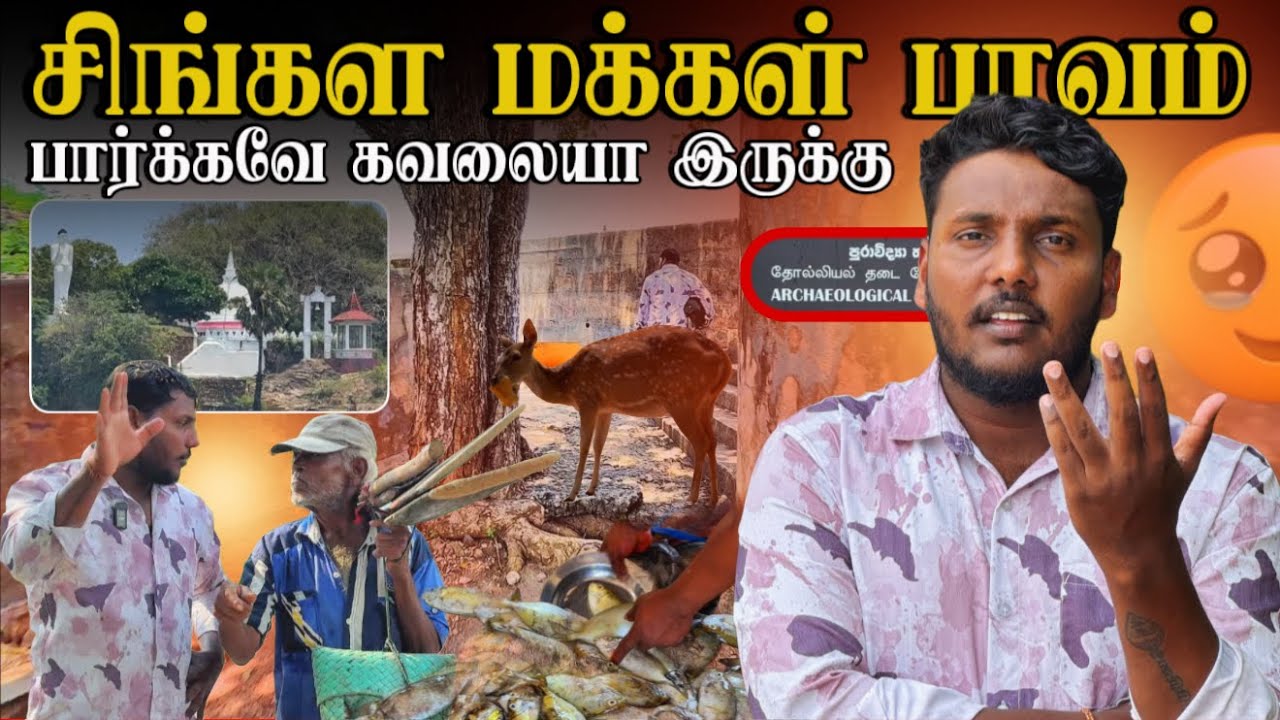 சிங்கள மக்கள் பாவம் 😥 | திருகோணமலை நகர் Ep 03 | Pavaneesan