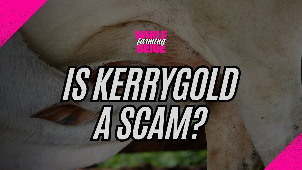 Is Kerrygold Butter a Scam?