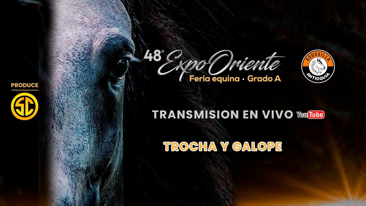 48º EXPOSICION EQUINA GRADO 