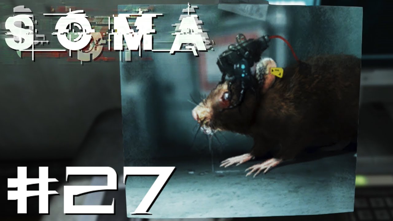 Structure Gel | SOMA, Part 27