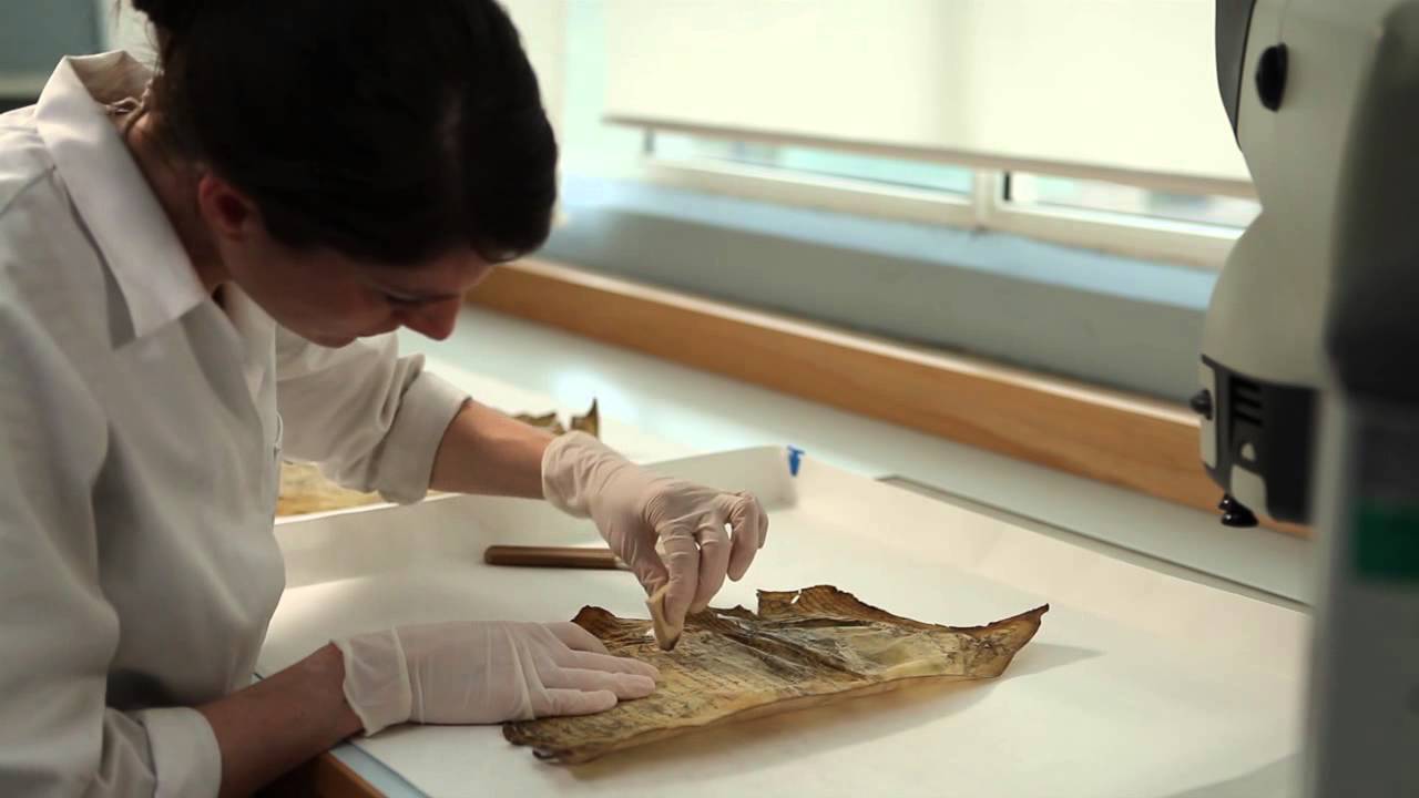 The Great Parchment Book