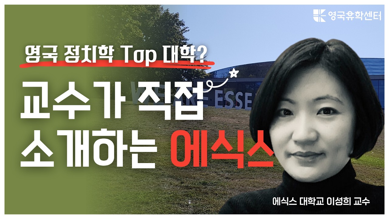 영국 정치학 탑티어, 현직 교수님께 직접 물어봤습니다