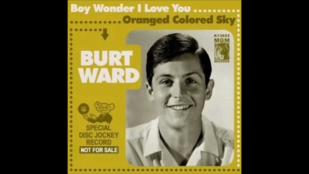 Burt Ward - Boy Wonder I Love You
