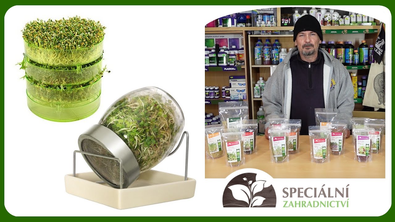 Jak na klíčení a pěstování microgreens? I Speciální Zahradnictví.cz