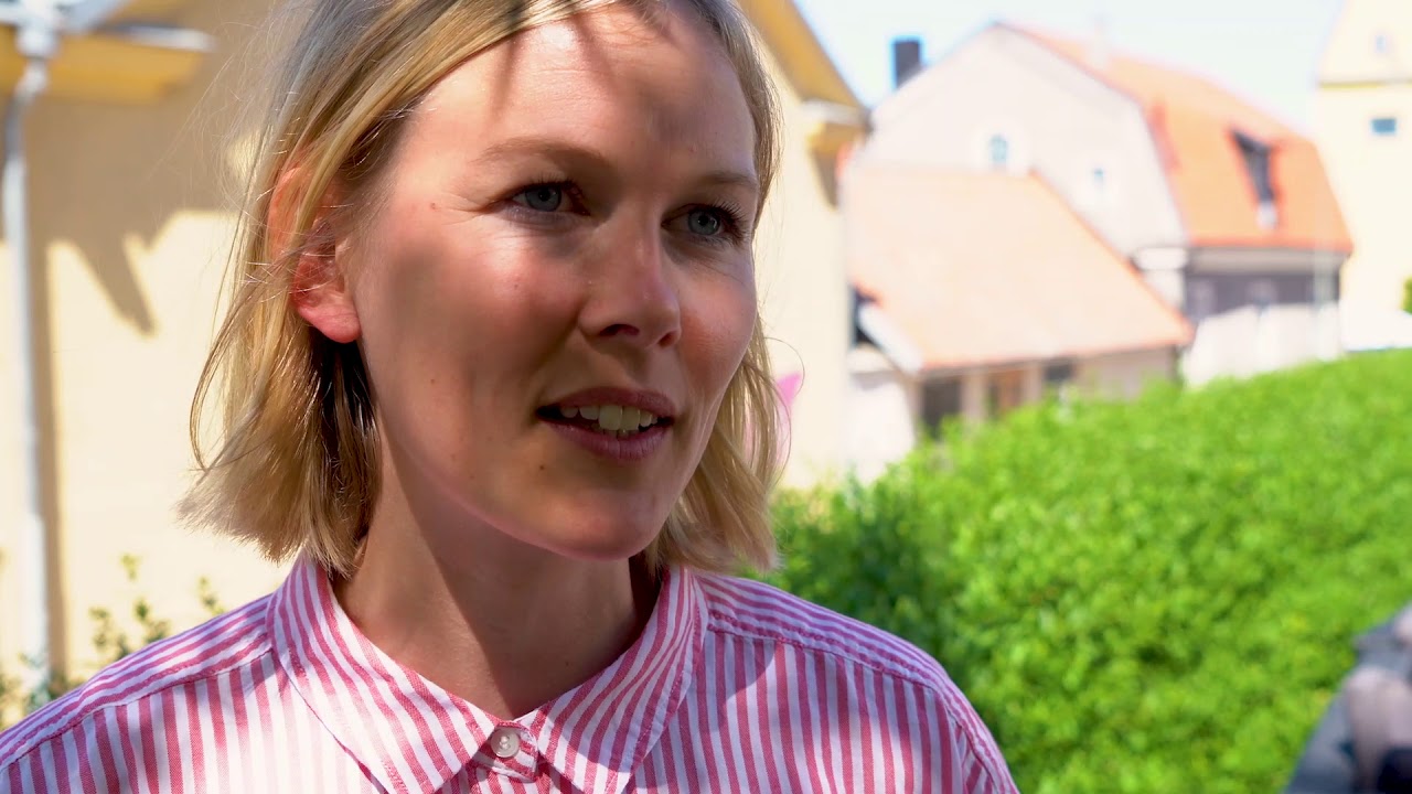 Hur stimulerar Fossilfritt Sverige n&auml;ringslivets akt&ouml;rer att &ouml;ka takten i klimatomst&auml;llningen?