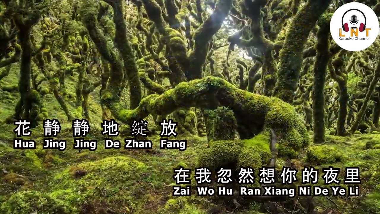 DONG NI 懂你  -  满文军 MAN WEN JU ( vocal )