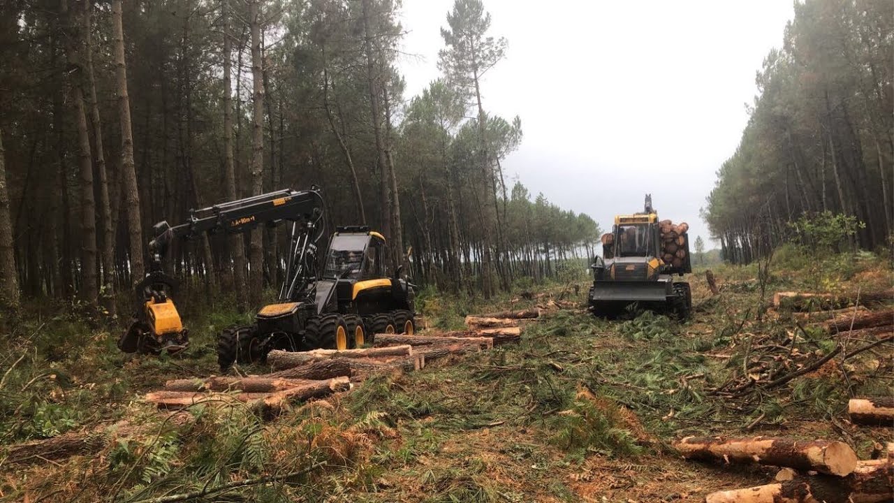 Ponsse Landes ( Déchargement de 2 catégories )