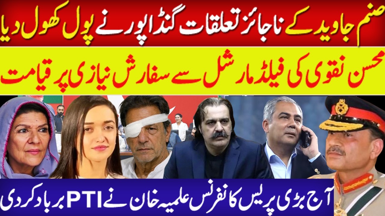 Ali Amin Gandapur Revealed Sanam Javed Secret Relationship | Mohsin Naqvi Reply