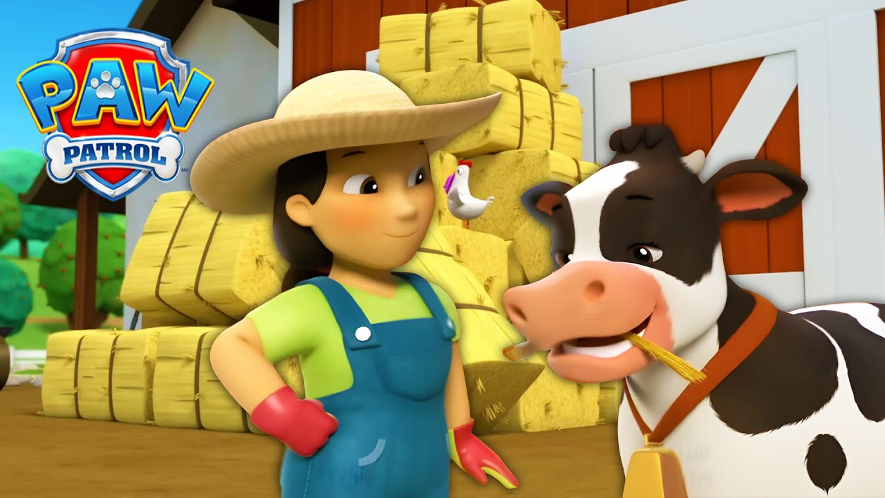 Os filhotes salvam a fazenda do desastre! 🚜- Patrulha Canina PAW Patrol